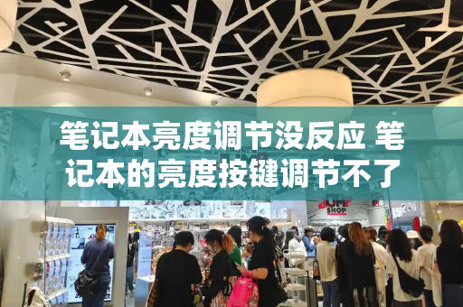 笔记本亮度调节没反应 笔记本的亮度按键调节不了