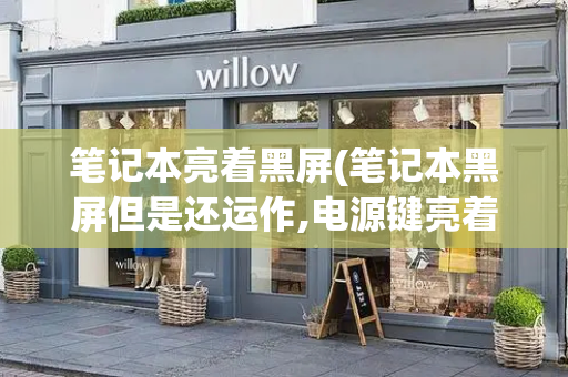 笔记本亮着黑屏(笔记本黑屏但是还运作,电源键亮着)