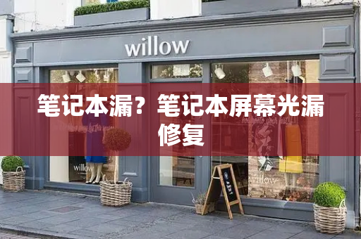 笔记本漏？笔记本屏幕光漏修复-第1张图片-星选测评