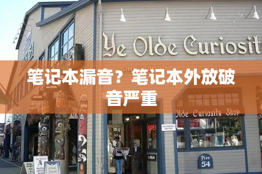 笔记本漏音？笔记本外放破音严重