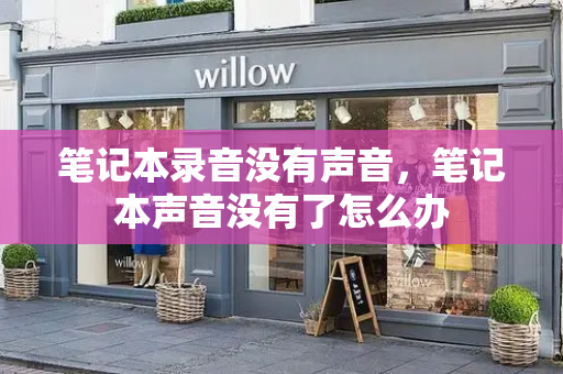 笔记本录音没有声音，笔记本声音没有了怎么办