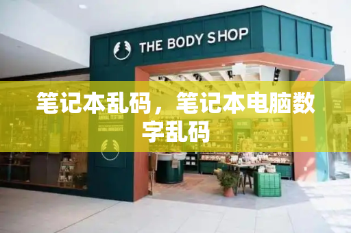 笔记本乱码，笔记本电脑数字乱码