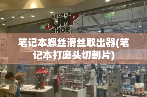 笔记本螺丝滑丝取出器(笔记本打磨头切割片)-第1张图片-星选测评