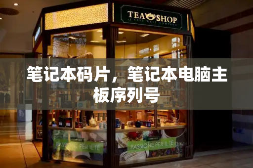 笔记本码片，笔记本电脑主板序列号