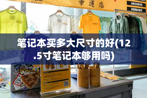 笔记本买多大尺寸的好(12.5寸笔记本够用吗)