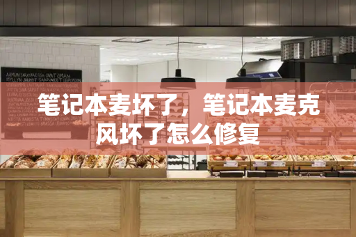 笔记本麦坏了，笔记本麦克风坏了怎么修复-第1张图片-星选测评