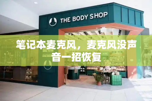 笔记本麦克风，麦克风没声音一招恢复-第1张图片-星选测评