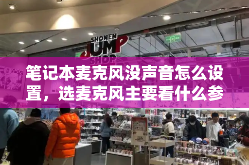 笔记本麦克风没声音怎么设置，选麦克风主要看什么参数