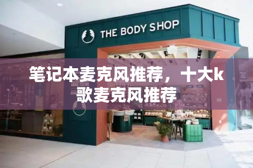 笔记本麦克风推荐，十大k歌麦克风推荐
