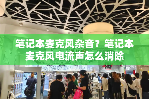 笔记本麦克风杂音？笔记本麦克风电流声怎么消除-第1张图片-星选测评