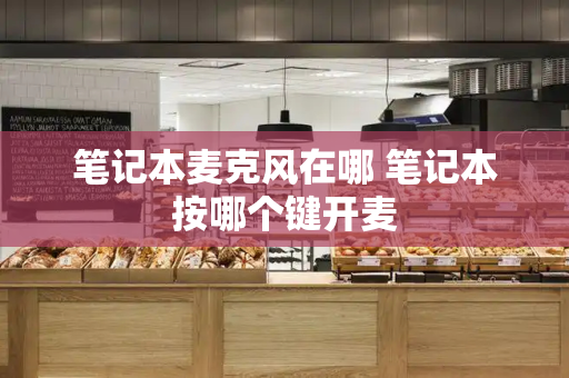 笔记本麦克风在哪 笔记本按哪个键开麦-第1张图片-星选测评