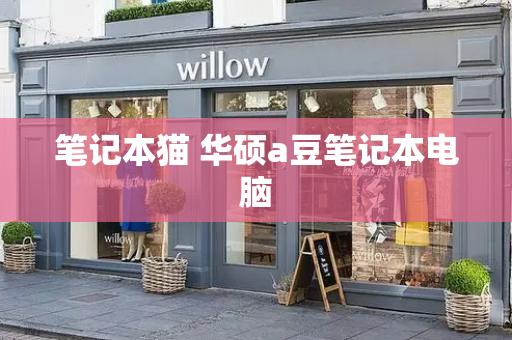 笔记本猫 华硕a豆笔记本电脑-第1张图片-星选测评