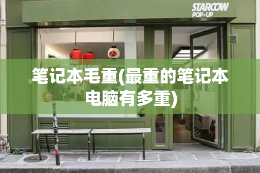 笔记本毛重(最重的笔记本电脑有多重)-第1张图片-星选测评