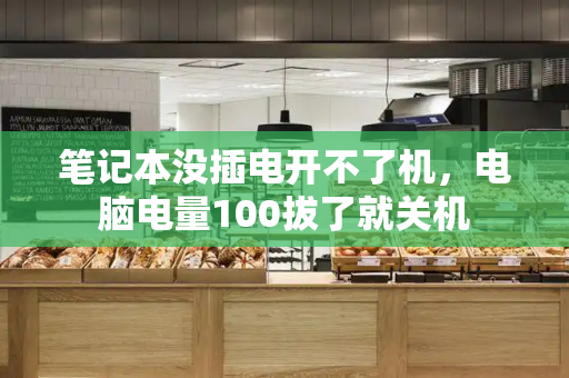 笔记本没插电开不了机，电脑电量100拔了就关机-第1张图片-星选测评