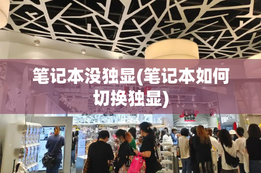 笔记本没独显(笔记本如何切换独显)