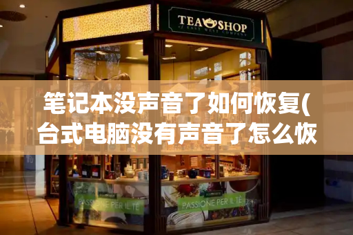 笔记本没声音了如何恢复(台式电脑没有声音了怎么恢复)-第1张图片-星选测评