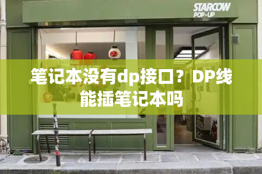 笔记本没有dp接口？DP线能插笔记本吗-第1张图片-星选测评