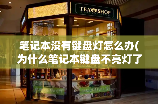 笔记本没有键盘灯怎么办(为什么笔记本键盘不亮灯了)