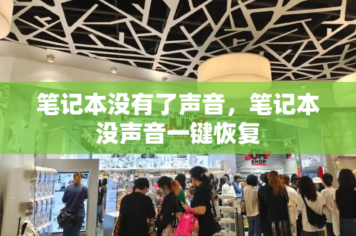 笔记本没有了声音，笔记本没声音一键恢复