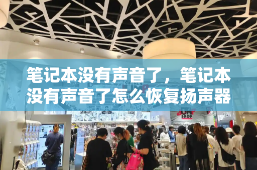 笔记本没有声音了，笔记本没有声音了怎么恢复扬声器