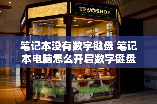 笔记本没有数字键盘 笔记本电脑怎么开启数字键盘