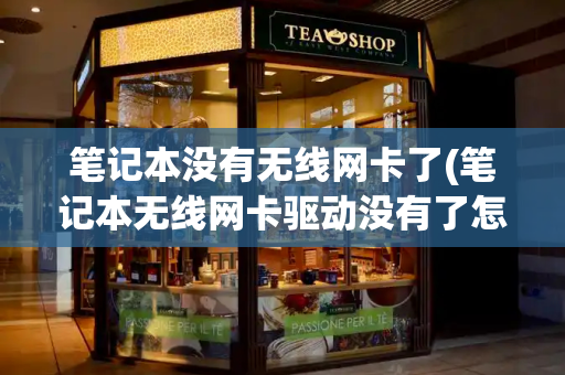 笔记本没有无线网卡了(笔记本无线网卡驱动没有了怎么办)