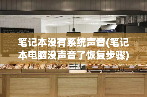 笔记本没有系统声音(笔记本电脑没声音了恢复步骤)