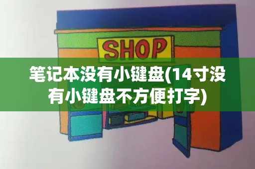 笔记本没有小键盘(14寸没有小键盘不方便打字)