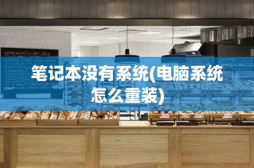 笔记本没有系统(电脑系统怎么重装)