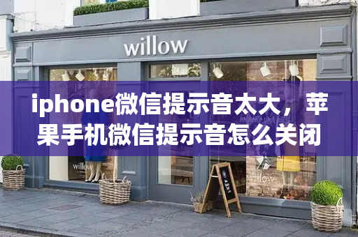 iphone微信提示音太大，苹果手机微信提示音怎么关闭-第1张图片-星选测评