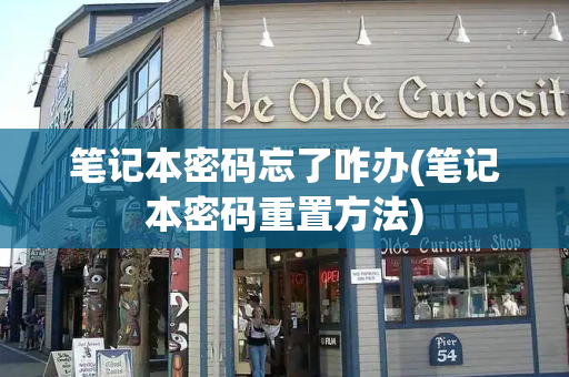 笔记本密码忘了咋办(笔记本密码重置方法)-第1张图片-星选测评