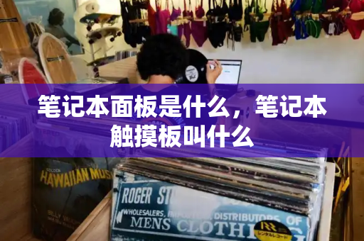 笔记本面板是什么，笔记本触摸板叫什么