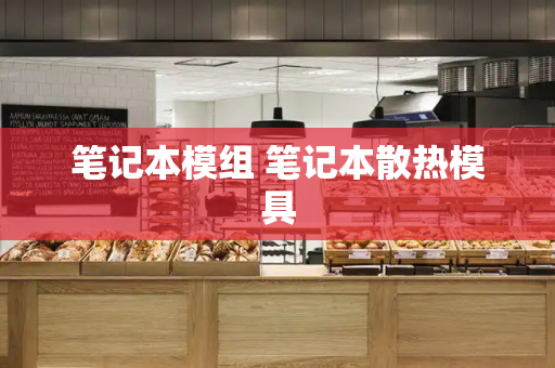 笔记本模组 笔记本散热模具-第1张图片-星选测评