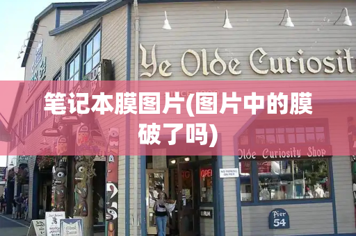 笔记本膜图片(图片中的膜破了吗)-第1张图片-星选测评