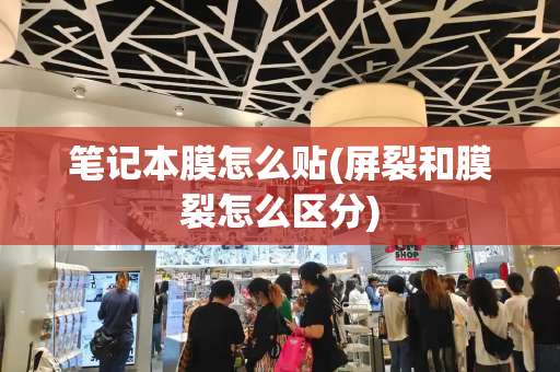 笔记本膜怎么贴(屏裂和膜裂怎么区分)