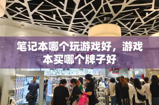 笔记本哪个玩游戏好，游戏本买哪个牌子好-第1张图片-星选测评