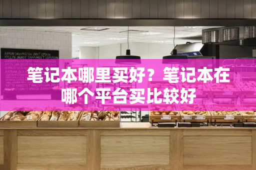 笔记本哪里买好？笔记本在哪个平台买比较好-第1张图片-星选测评