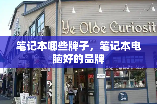 笔记本哪些牌子，笔记本电脑好的品牌