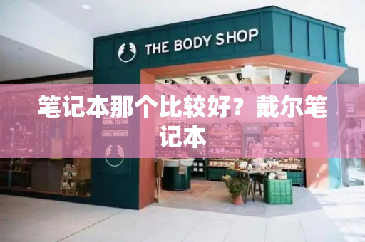 笔记本那个比较好？戴尔笔记本-第1张图片-星选测评