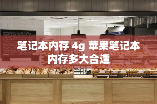 笔记本内存 4g 苹果笔记本内存多大合适-第1张图片-星选测评