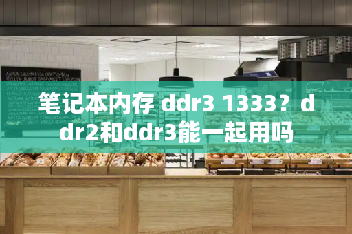 笔记本内存 ddr3 1333？ddr2和ddr3能一起用吗