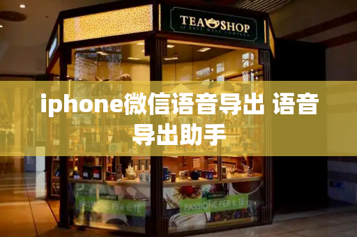 iphone微信语音导出 语音导出助手-第1张图片-星选测评