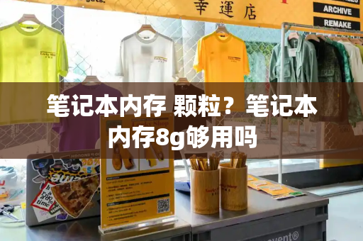笔记本内存 颗粒？笔记本内存8g够用吗