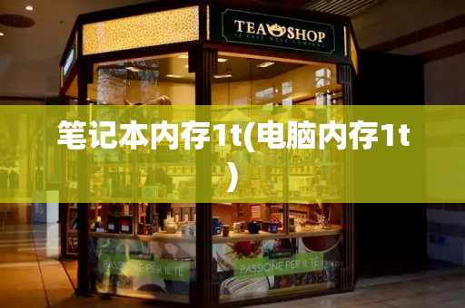 笔记本内存1t(电脑内存1t)-第1张图片-星选测评