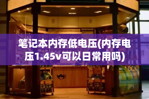 笔记本内存低电压(内存电压1.45v可以日常用吗)-第1张图片-星选测评