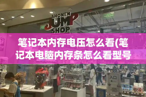 笔记本内存电压怎么看(笔记本电脑内存条怎么看型号)-第1张图片-星选测评