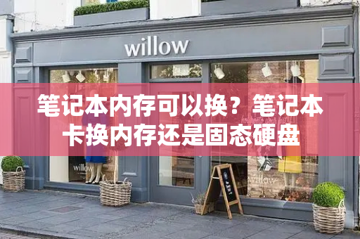 笔记本内存可以换？笔记本卡换内存还是固态硬盘-第1张图片-星选测评