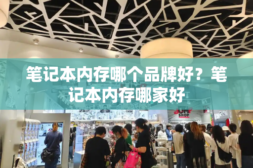 笔记本内存哪个品牌好？笔记本内存哪家好-第1张图片-星选测评