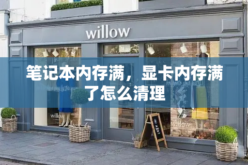 笔记本内存满，显卡内存满了怎么清理-第1张图片-星选测评