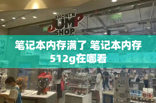 笔记本内存满了 笔记本内存512g在哪看